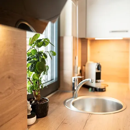 Schneerose Apartment *