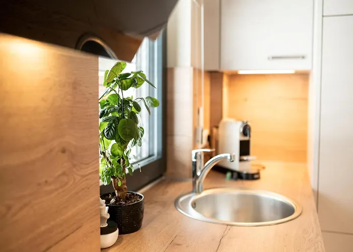 Apartamento Schneerose Maria Alm am Steinernen Meer